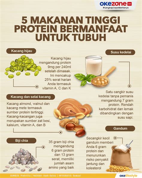 Protein tinggi